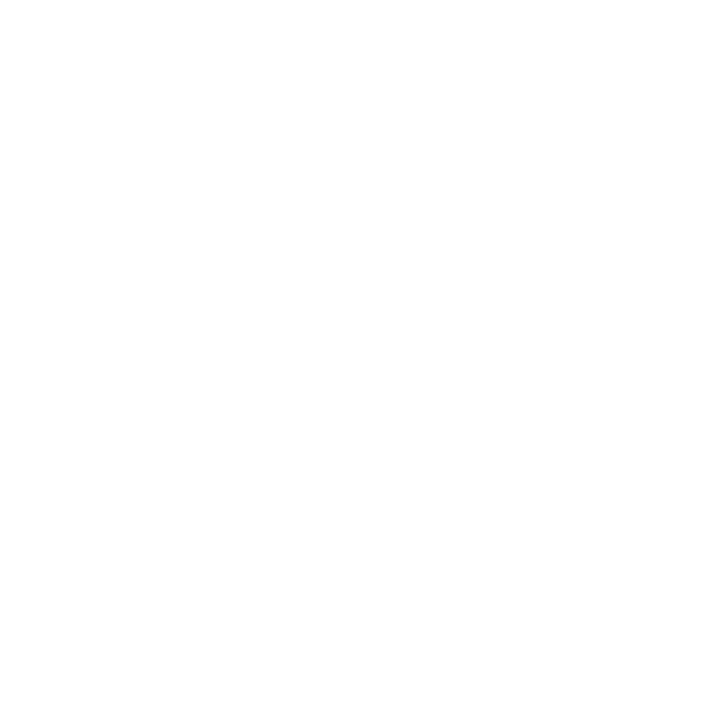 Transporte Local a Nivel Nacional